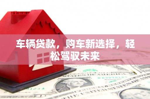 天峨车辆贷款，购车新选择，轻松驾驭未来