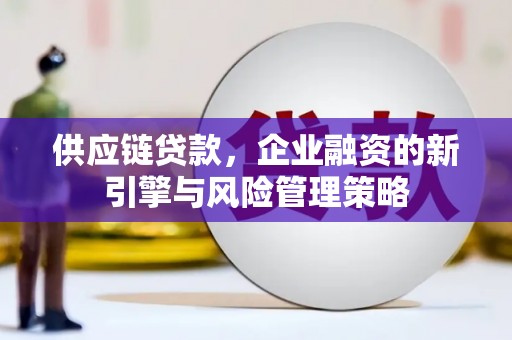 天峨供应链贷款，企业融资的新引擎与风险管理策略