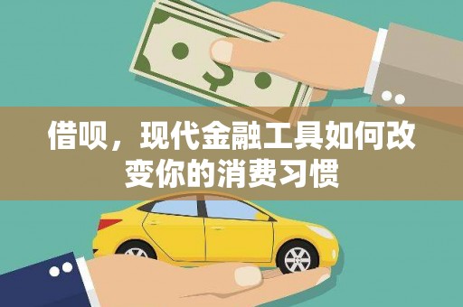 天峨借呗，现代金融工具如何改变你的消费习惯