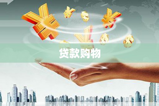 天峨贷款购物