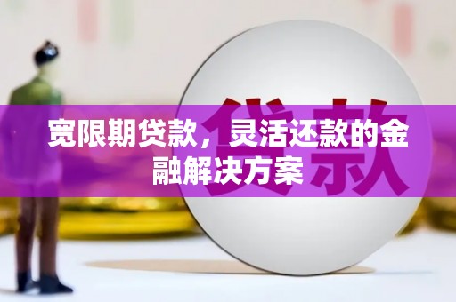 天峨宽限期贷款，灵活还款的金融解决方案