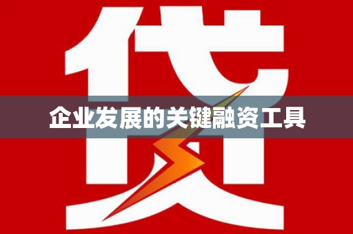 天峨企业发展的关键融资工具