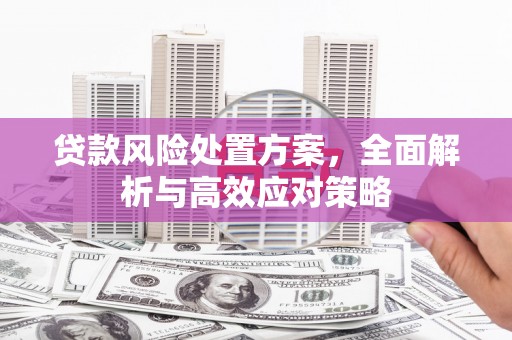 天峨贷款风险处置方案，全面解析与高效应对策略