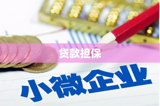 天峨贷款担保