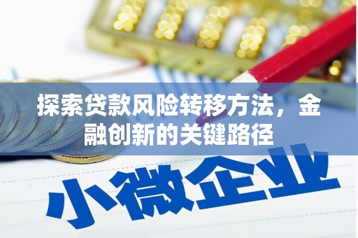天峨探索贷款风险转移方法，金融创新的关键路径