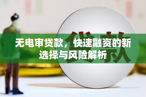 天峨无电审贷款，快速融资的新选择与风险解析