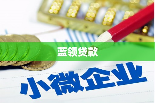 天峨蓝领贷款