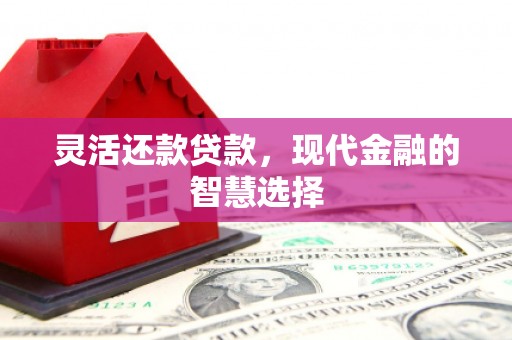 天峨灵活还款贷款，现代金融的智慧选择