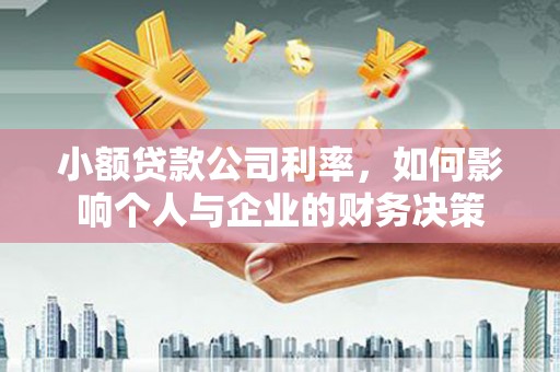天峨小额贷款公司利率，如何影响个人与企业的财务决策