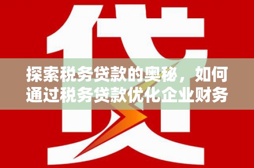 天峨探索税务贷款的奥秘，如何通过税务贷款优化企业财务