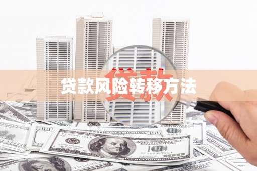 天峨贷款风险转移方法