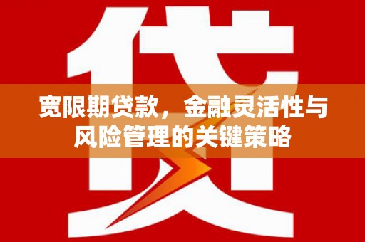 天峨宽限期贷款，金融灵活性与风险管理的关键策略