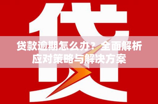 天峨贷款逾期怎么办？全面解析应对策略与解决方案