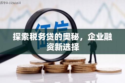 天峨探索税务贷的奥秘，企业融资新选择