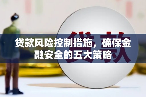 天峨贷款风险控制措施，确保金融安全的五大策略