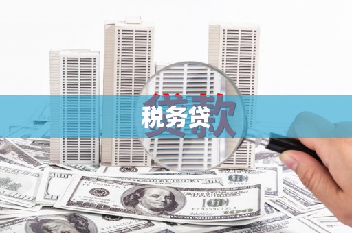 天峨税务贷