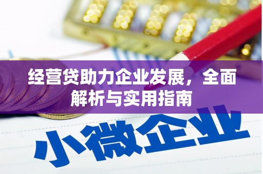 天峨经营贷助力企业发展，全面解析与实用指南