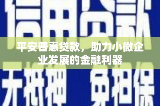 天峨平安普惠贷款，助力小微企业发展的金融利器