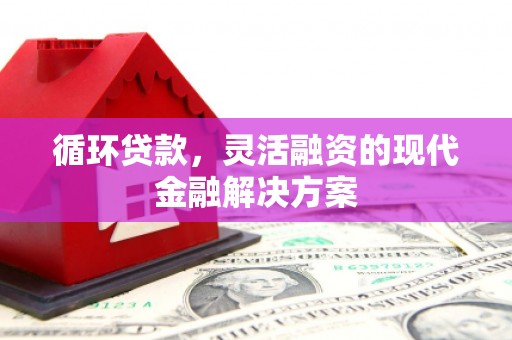 天峨循环贷款，灵活融资的现代金融解决方案