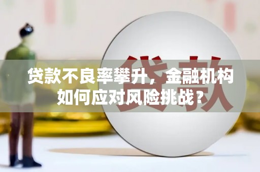 天峨贷款不良率攀升，金融机构如何应对风险挑战？