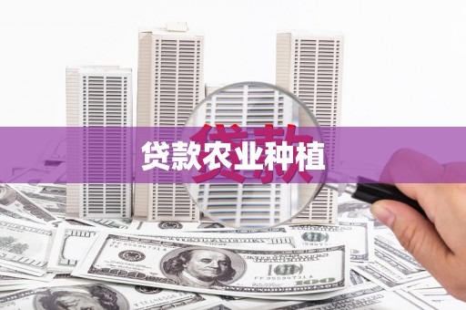 天峨贷款农业种植