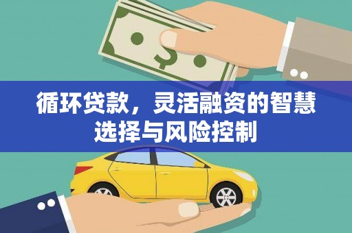 天峨循环贷款，灵活融资的智慧选择与风险控制