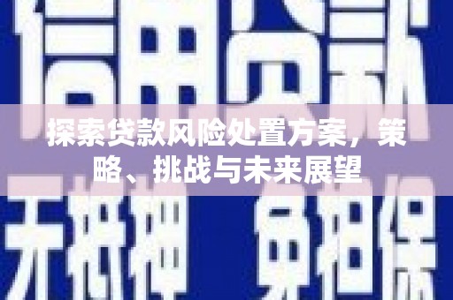 天峨探索贷款风险处置方案，策略、挑战与未来展望