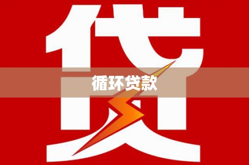 天峨循环贷款