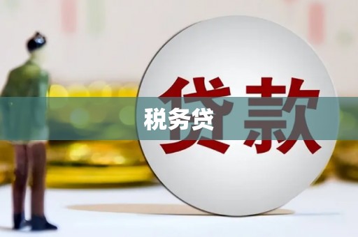 天峨税务贷