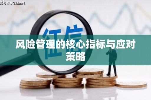 天峨风险管理的核心指标与应对策略