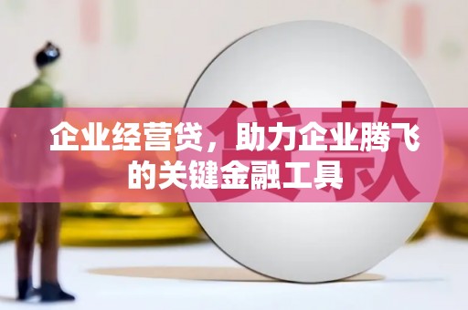 天峨企业经营贷，助力企业腾飞的关键金融工具