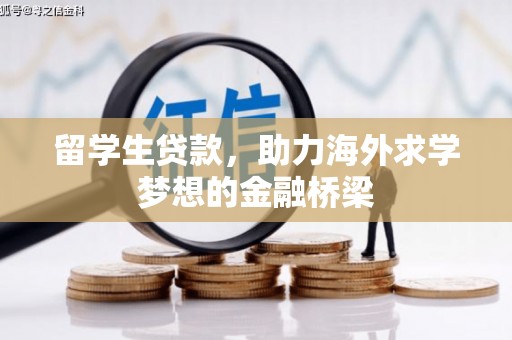 天峨留学生贷款，助力海外求学梦想的金融桥梁