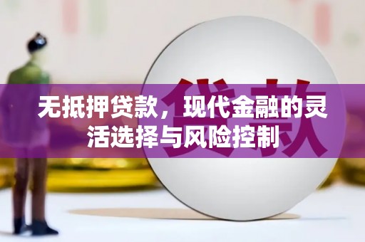 天峨无抵押贷款，现代金融的灵活选择与风险控制