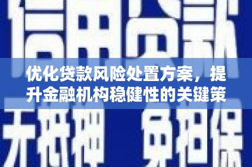 天峨优化贷款风险处置方案，提升金融机构稳健性的关键策略