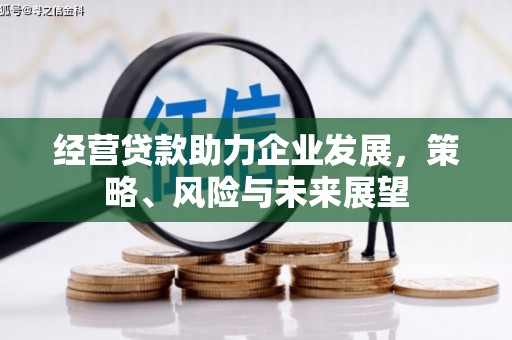 天峨经营贷款助力企业发展，策略、风险与未来展望