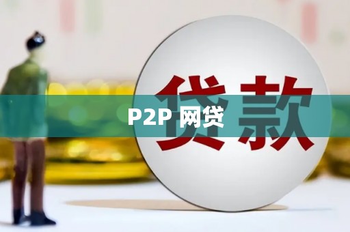 天峨P2P 网贷