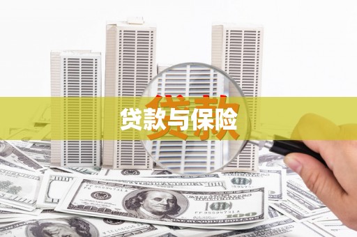 天峨贷款与保险
