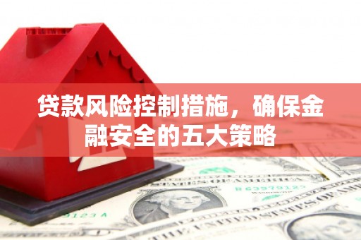 天峨贷款风险控制措施，确保金融安全的五大策略