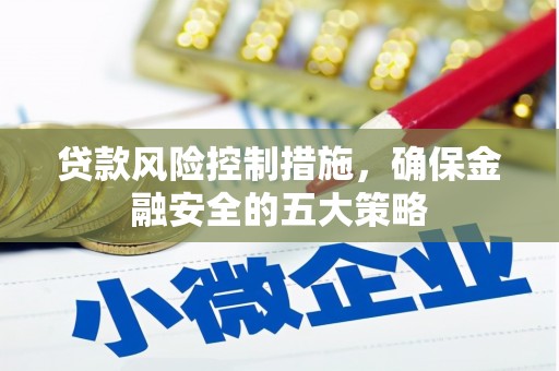 天峨贷款风险控制措施，确保金融安全的五大策略