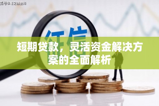 天峨短期贷款，灵活资金解决方案的全面解析