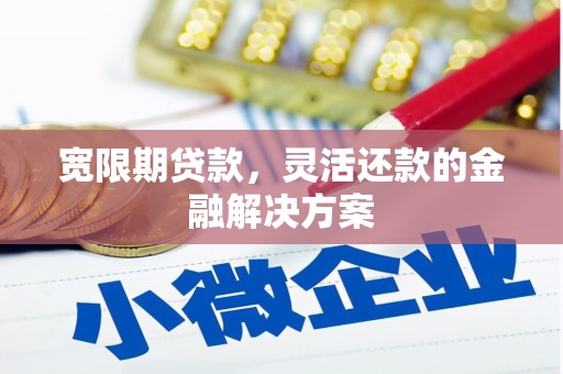 天峨宽限期贷款，灵活还款的金融解决方案