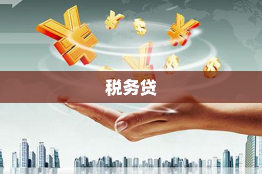 天峨税务贷