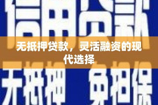 天峨无抵押贷款，灵活融资的现代选择