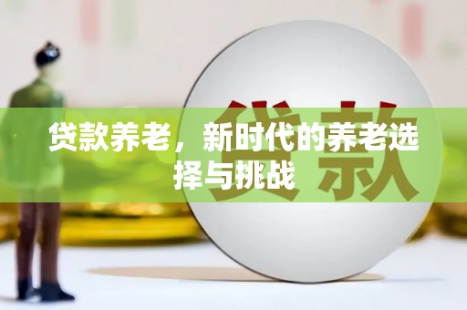 天峨贷款养老，新时代的养老选择与挑战