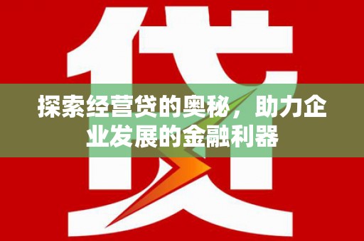 天峨探索经营贷的奥秘，助力企业发展的金融利器