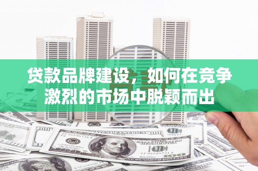 天峨贷款品牌建设，如何在竞争激烈的市场中脱颖而出
