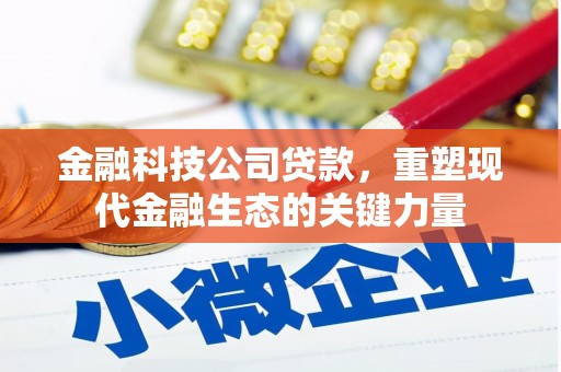 天峨金融科技公司贷款，重塑现代金融生态的关键力量