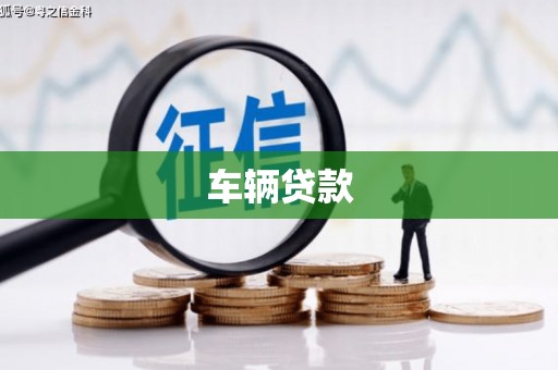 天峨车辆贷款