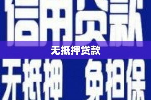 天峨无抵押贷款
