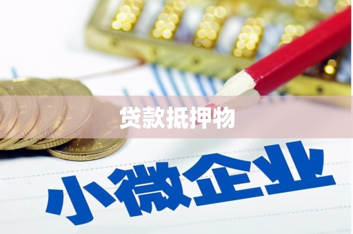 天峨贷款抵押物